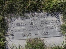 Theodore R Johnson