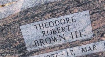 Theodore Robert Brown, III Theodore Robert Brown, III