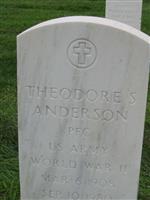 Theodore S Anderson