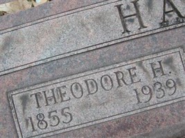 Theodore T Hasse