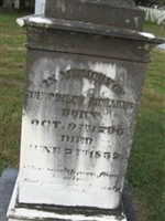 Theophilus Richards Theophilus Richards