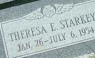 Theresa E Starkey