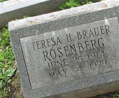 Theresa H. Brauer Rosenberg