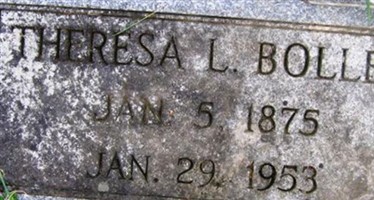 Theresa Lee Stitely Boller Theresa Lee Stitely Boller