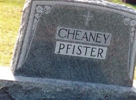 Theresa Mary Garvens Cheaney