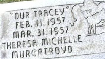 Theresa Michelle Murgatroyd