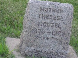Theresa Mousel Theresa Mousel