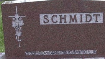 Theresa Peplinski Schmidt Theresa Peplinski Schmidt