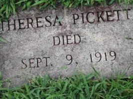 Theresa Pickett Theresa Pickett