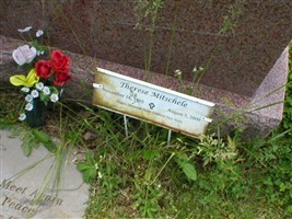 Therese Heitlinger Mitschele Therese Heitlinger Mitschele