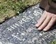 Therese Rose Therese Rose