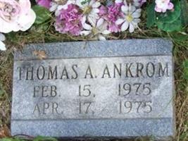 Thomas A Ankrom