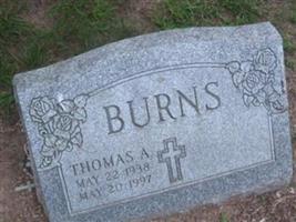 Thomas A Burns
