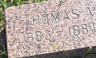 Thomas A Dodd