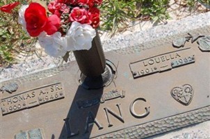 Thomas A Lang Thomas A Lang