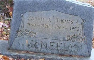 Thomas A McNeely