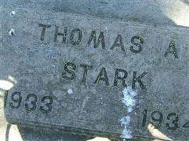 Thomas A Stark