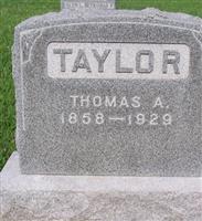 Thomas A Taylor
