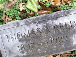Thomas Alfred Reed