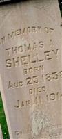 Thomas Ammon Shelley