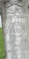 Thomas B. Currie