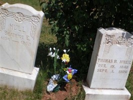 Thomas B McNeil
