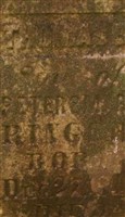 Thomas B Ringer