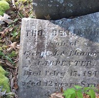 Thomas Benjamin Carpenter