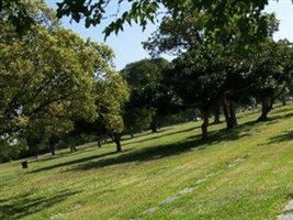 Thomas C. Strachan Thomas C. Strachan