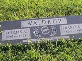 Thomas C Waldrop