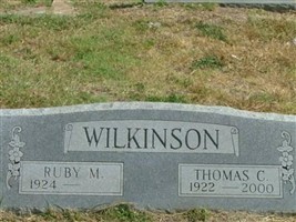 Thomas C Wilkinson