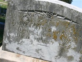 Thomas Calvert Anderson Thomas Calvert Anderson