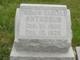 Thomas Carlyle Antrobus Thomas Carlyle Antrobus