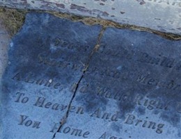 Thomas Cartwright Mathews Thomas Cartwright Mathews