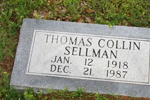 Thomas Collin Sellman Thomas Collin Sellman