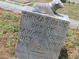 Thomas David Cobb