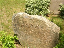 Thomas E Anderson