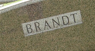Thomas E Brandt