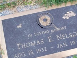 Thomas E Nelson Thomas E Nelson