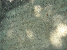 Thomas E Sharp
