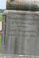 Thomas E. Williamson