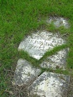 Thomas Elliott Thomas Elliott