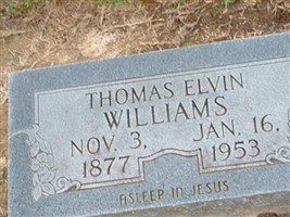 Thomas Elvin Williams Thomas Elvin Williams