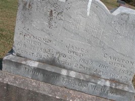 Thomas Franklin Weaver Thomas Franklin Weaver