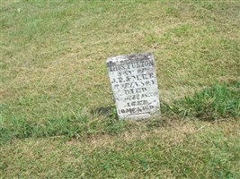 Thomas Fulton Robinson