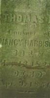Thomas H Harbison