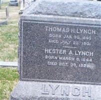 Thomas H Lynch