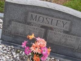 Thomas H Mosley