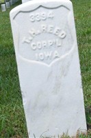 Thomas H Reed