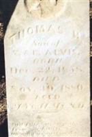 Thomas Harrison Alvis, Jr